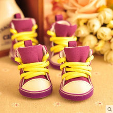 Multi-Color Street Fashion Anti-slip Sneakers for Pets