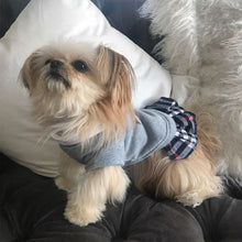 School Uniform/Dress Style for Small Pets