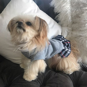 School Uniform/Dress Style for Small Pets