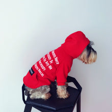 Letter Printed Red Cotton Hoodie for Pets